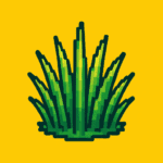 BePresent  1.7 Apk (MOD, Premium Pro)